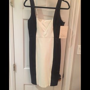 Boston Proper cream and black dress